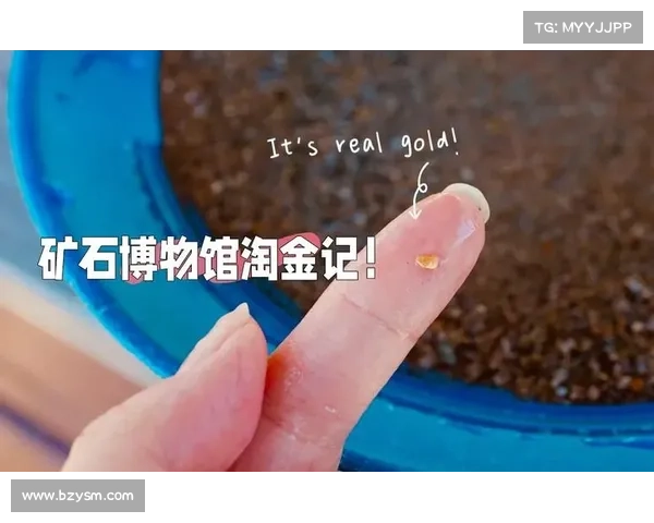 桃源秘境金票财富指南:开启你的淘金之旅 桃源秘境金票财富指南:开启你的淘金之旅